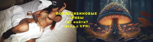 таблы Карпинск