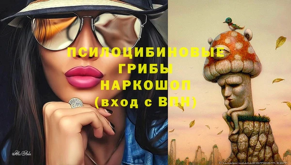 Альфа ПВП Касимов