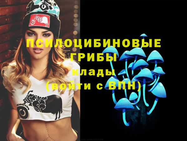 таблы Карпинск