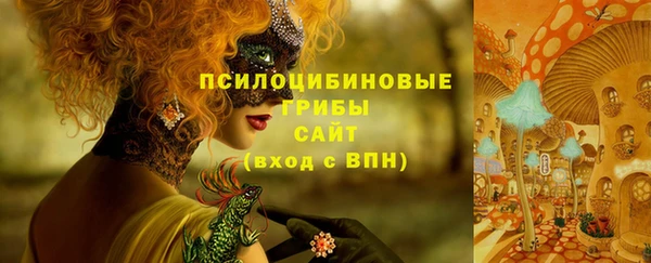 Альфа ПВП Касимов
