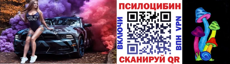Псилоцибиновые грибы ЛСД  Купить закладки  Чекалин 