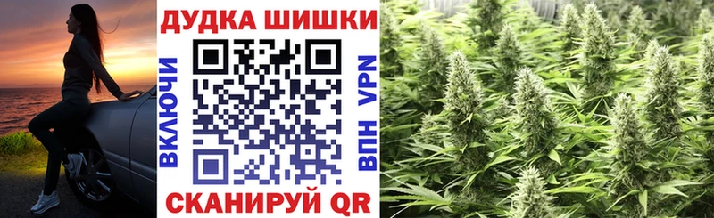 Купить где  Чекалин  Бошки Шишки конопля 